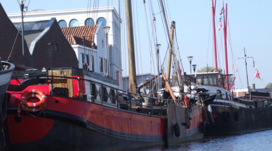 Rode Kaat